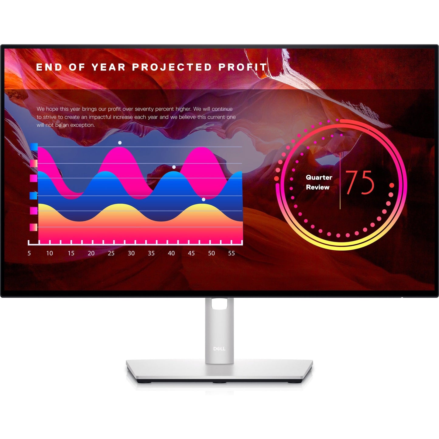 Dell (DELL-U2422H) Monitor