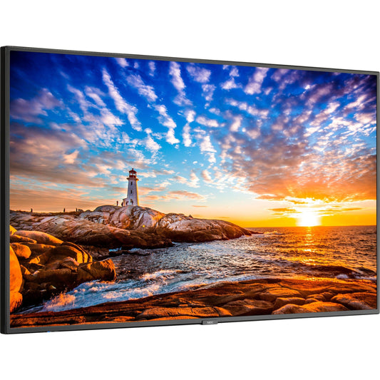 Sharp NEC Display P555 Professional Digital Signage Display, 55" UHD, 700 Nit Brightness, 10-bit Color, Wide Color Gamut 86% DCI, HDR10/HLG Support, Edge LED, 2160p Resolution - P555 (5 Year Warranty)