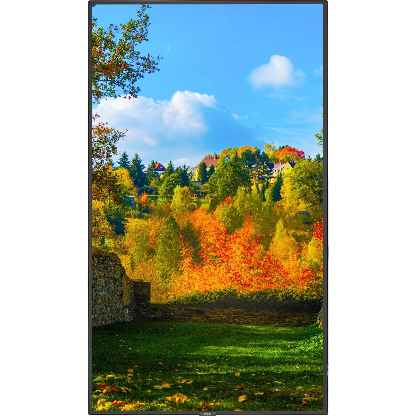 NEC Display M551-MPI4E Digital Signage Display, Professional, Enhances Engagement, Delivers Vibrant Visuals (1 Year Warranty)