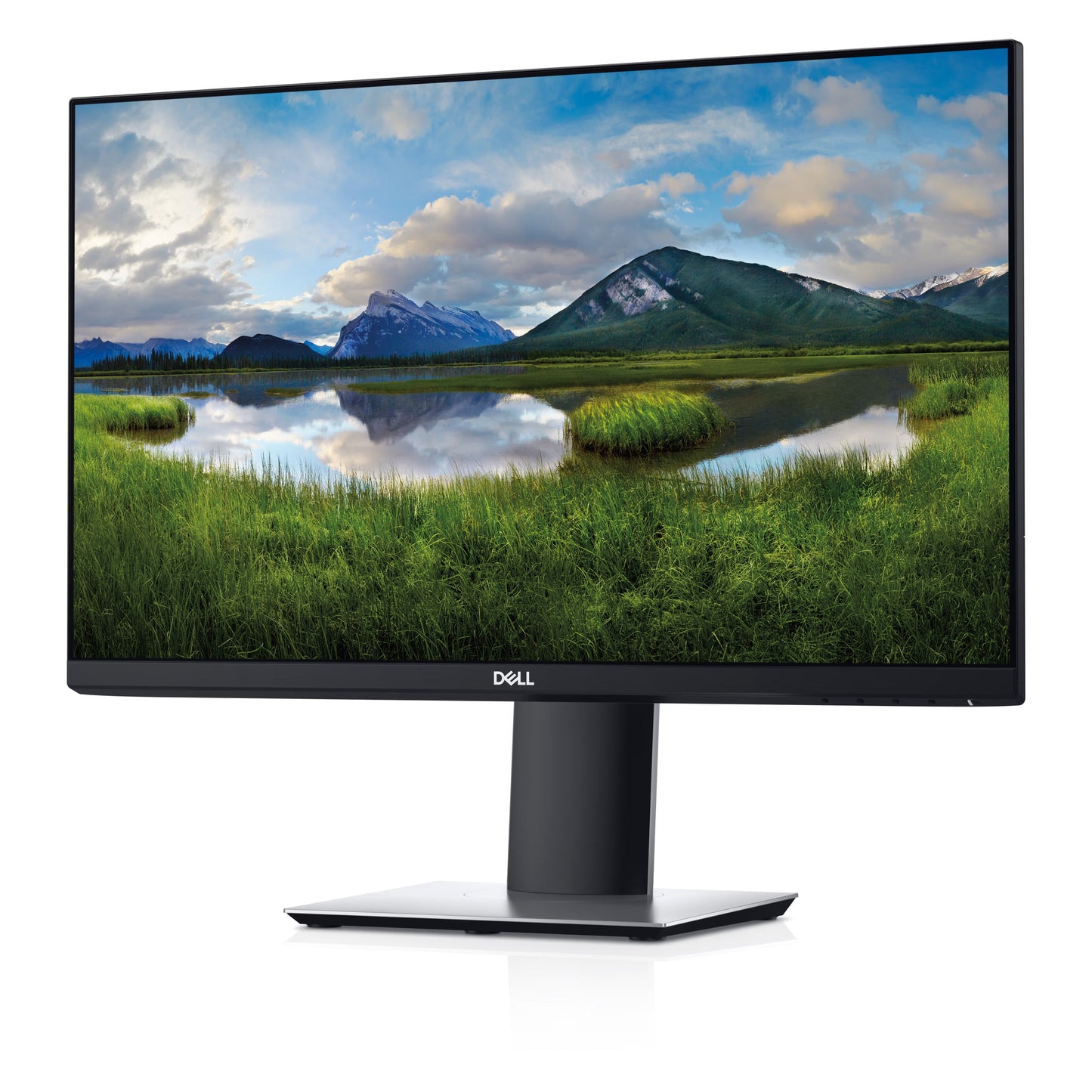 DELL SOURCING - NEW Professional P2319HE 23" Class Full HD LCD Monitor - 16:9 (DELL-P2319HE)