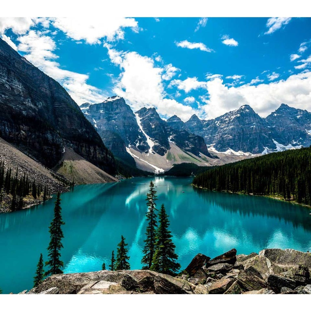 ViewSonic 24" LCD monitor, 1920x1080, HDMI, DP, VGA, USB-hub. (VG2440)