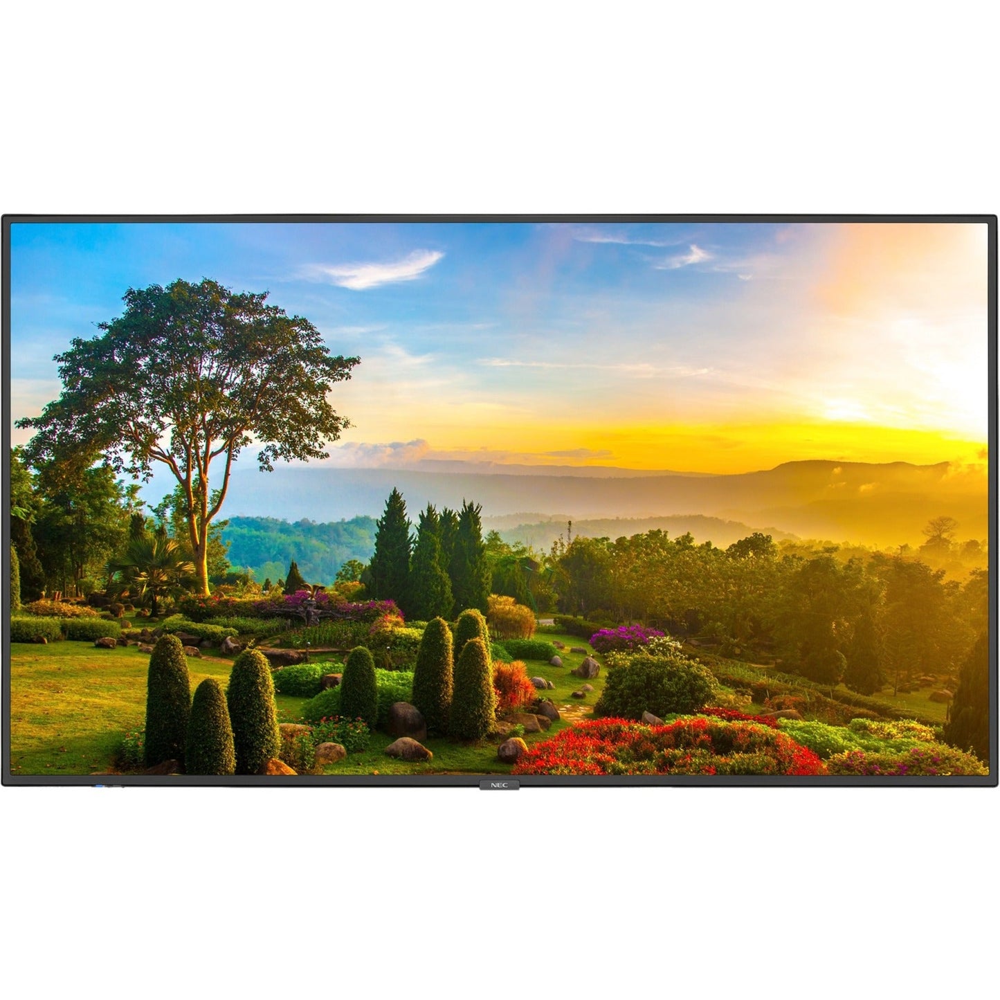 NEC Display M551-MPI4E Digital Signage Display, Professional, Enhances Engagement, Delivers Vibrant Visuals (1 Year Warranty)
