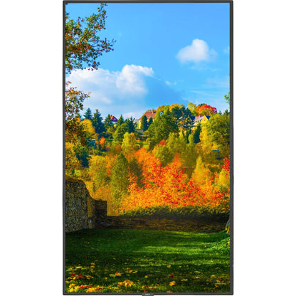NEC Display M551-MPI4E Digital Signage Display, Professional, Enhances Engagement, Delivers Vibrant Visuals (1 Year Warranty)