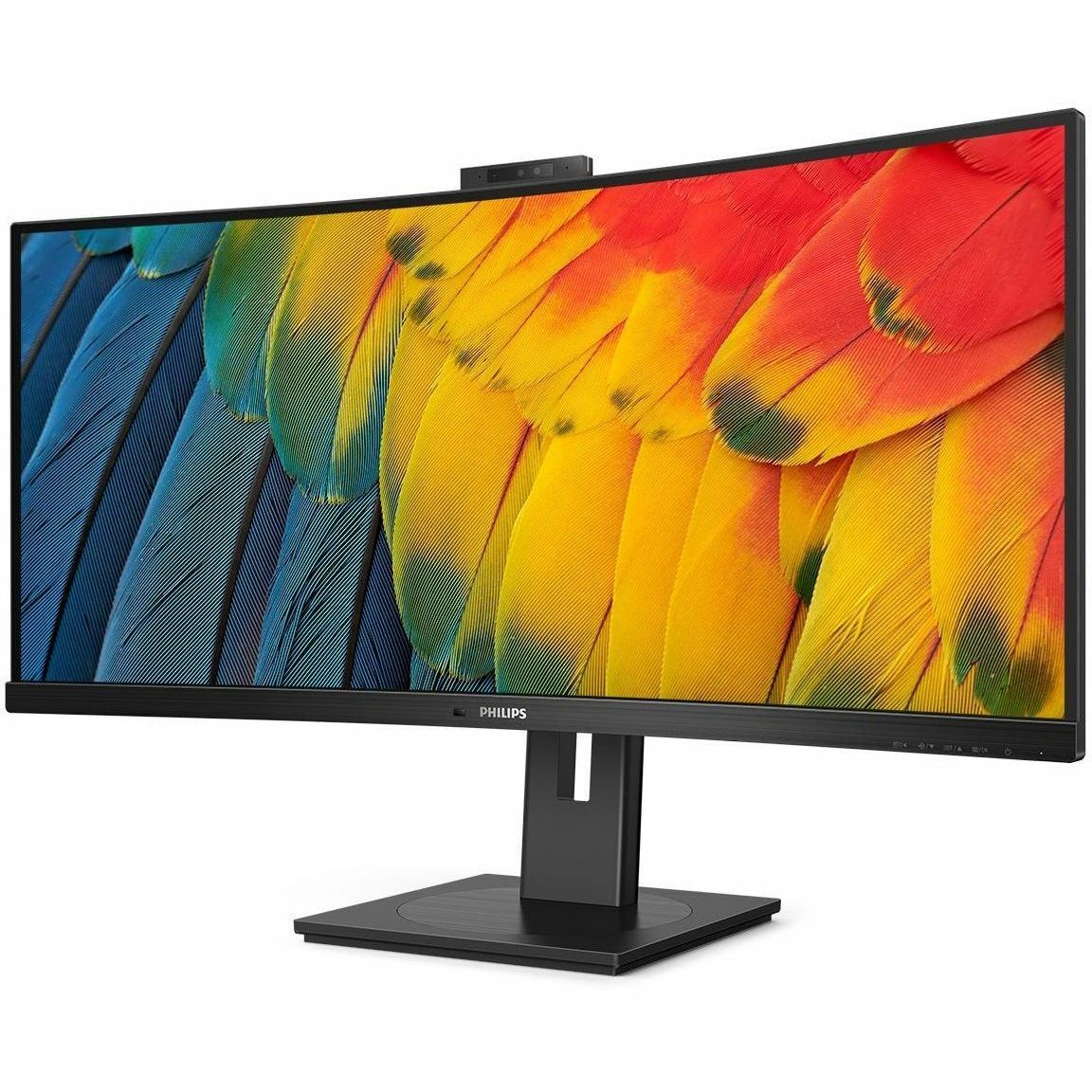 TPV Philips 34" Curved Monitor, LED, WQHD (3440x1440), USB-C, Webcam, 4 Year Adv Warranty (34B1U5600CH)