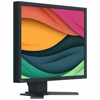 EIZO FlexScan S2134-BK 21" Class UXGA LED Monitor, 4:3 Aspect Ratio, Black (1 Year Warranty)