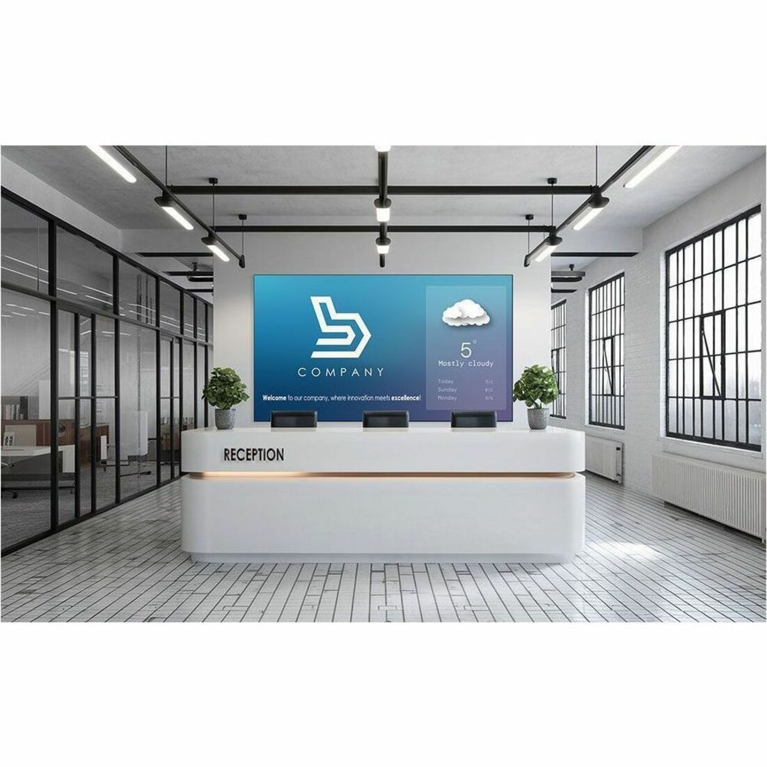 Newline DV One+ DV-18924-PLUS Digital Signage Display
