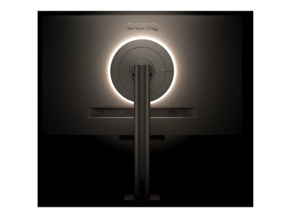 BenQ RD280UA 28" Class 4K+ LED Monitor - 3:2